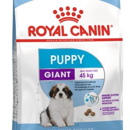 Giant Puppy 3.5 kg Wet Young Dog Food-image-27
