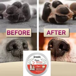 breedo (Combo of 3 ) Toothpaste + Teeth Brush +Paw Butter Moisturizing & Soft Cream Pet Toothbrush image 2