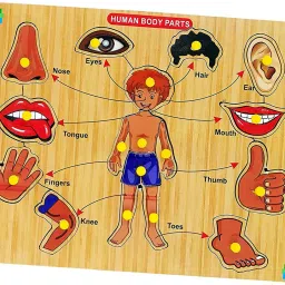 EDUCATION AND LEARNING GAME FOR KIDS WOODEN BODY PART GAME.-image-78