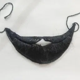 English Fake Moustache-image-56