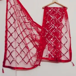 Net Embellished Red Women Dupatta-image-60