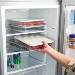 Plastic Plastic Fridge Storage Basket Box Freezer Containers 2500ml+1250ml+1250ml Storage Basket-22