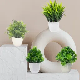 Bonsai Artificial Small Green Plant With Pot Combo4 (H~15 Cm) Bonsai Wild Artificial Plant with Pot-image-49