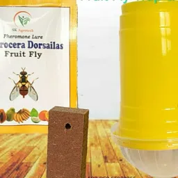 Fruit fly - Bactrocera bactrocera pheromone lure & disposable glass trap-image-64
