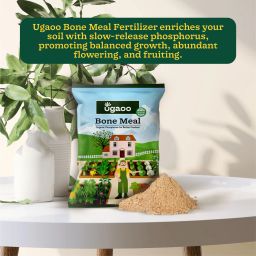 Organic Bone Meal Powder Fertilizer-image-12