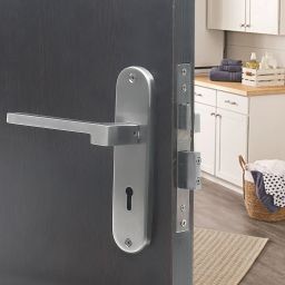 Stainless Steel Matte Handlesets-image-92