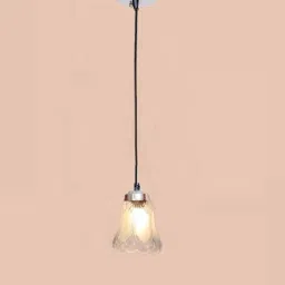 Pendants Ceiling Lamp-picture-6