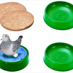 Pigeon Egg Bowl + Nest Pad - Set of 3 Piece, Size: (24X6.5 cm) - Green Color Bird House-image-8