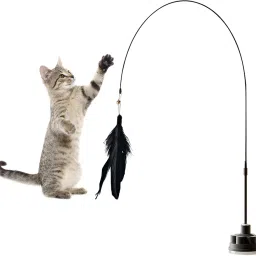 Interactive Cat Toy Flexible Wand with Suction Cup Feather Teaser Black Feather Plastic Stick For Cat-image-59