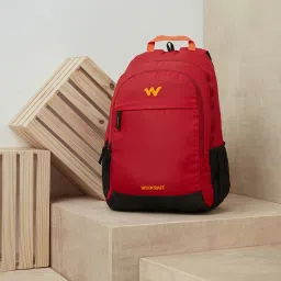 Medium 30 L Laptop Backpack Seek-picture-10