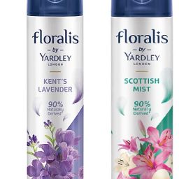 Kents Lavender, Scottish Mist Spray-image-49