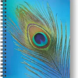 Wiro notebook A5 Diary Ruled 144 Pages-9
