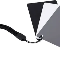 Stela 8.5 cm x 5.4 cm Grey Card-image-88