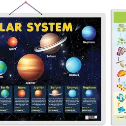 Pack of 2 Solar System and Life Cycle Educational charts-3