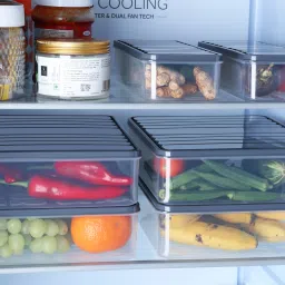 moxstar Plastic Fridge Container - 1200 ml, 2500 ml image 4