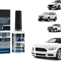 Scratch Remover Paint-4
