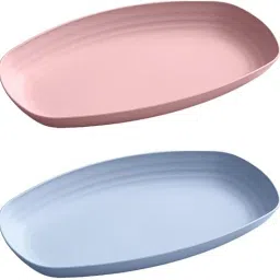 Eco Friendly Serving Plate for Sushi (pack of 2, random) Tray-image-2