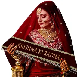 Net Self Design Maroon Women Dupatta-image-25