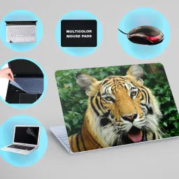 SDM 6IN1LAPTOPSKIN,SCREEN&KEYGAURD PROTECTOR,TRACKPAD,SLEEVEBAG,MOUSEPAD15.6INCH074 Combo Set-image-56