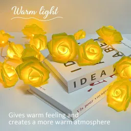 20 LEDs 4 m Yellow Steady Flower Rice Lights-picture-10