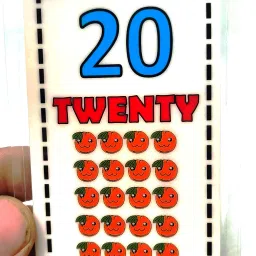 1-20 Number Flash Cards Hard Laminated Unbreakable-image-8