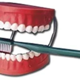 Dental Care with Big Size Brush Model For Training-image-45