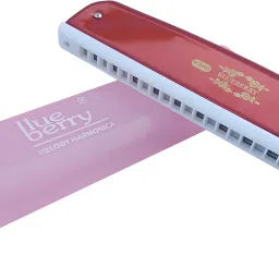 blueberry H-2403 24 Holes Key C Mouth Organ | 48 Tone | Scale Changer With Case For Professional, Beginners, Student Harmonica image 2