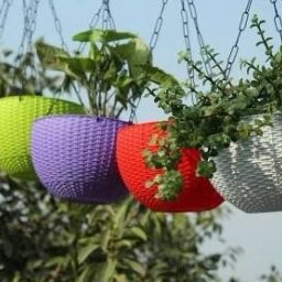 Plant Container Set-image-75