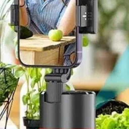 EVAAENTERPRISES P02 Mobile Stabilizer in Black color 2 Axis Gimbal for Mobile, Camera image 2