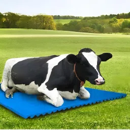 COW MAT-Waterproof Rubber(Mat 8*5 Feet)BPA Free For Horse-A Cow, Dog, Hamster, Guinea Pig, Miniature Pig Pet Mat-image-85