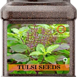 Ram Tulsi Seeds - Rama Tulsi Beej Seed-image-42