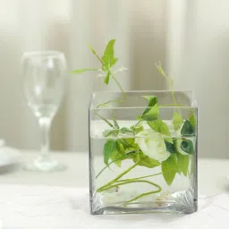 Deshilp Overseas Sqaure Cube Glass Vase For Home Decoration, Clear Glass Square Vase, Centerpieces Glass Vase (4 x 4 x 4 inch, Clear) Glass Vase-image-4