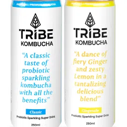 Kombucha Naturally Sparkling Probiotic Drink | Antioxidant & Hydration Classic and Gingerade Drink-image-98