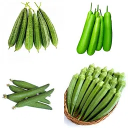 kaddu, okra bhindi, ghiya torai, jhingli Seed-image-2