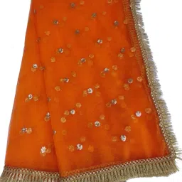 Net Embellished Orange Women Dupatta-picture-15