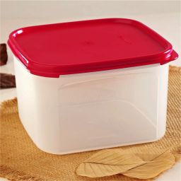 Plastic Grocery Container - 2.6 L-picture-22