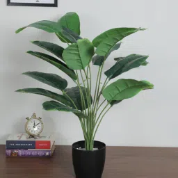 arick decor 2.2Ft Artificial Banana Plants With Black Pot 18 Leaves-picture-46