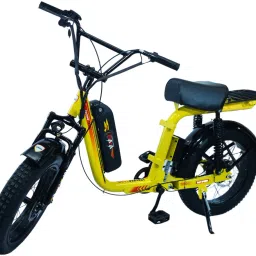 WAYAZULU250YLLT 20 inches Single Speed Lithium-ion (Li-ion) Electric Cycle-32