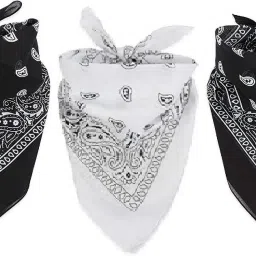 CozyFox 2 BLACK 1 WHITE- Unisex Handkerchief For All Ages ["White","Black"] Handkerchief-picture-1