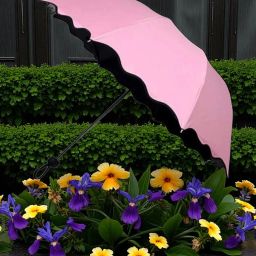 Travel Compact Magic Umbrella 3 Fold Umbrella for Girls, Women_098902 Umbrella-image-54