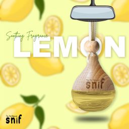 the old natural LEMON GRASS Car Freshener Diffuser image 5