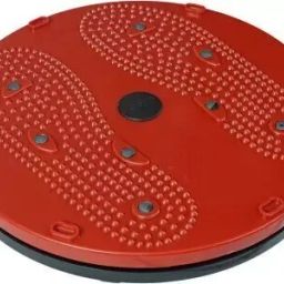 2 in 1 tummy twister cum acupressure mat with magnets for Ab Exerciser Ab Exerciser-image-22
