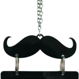 Acrylic Car Hanging SAINI Both Side Car Hanging Ornament-image-62