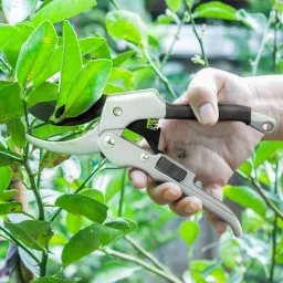 GARDEN SHEARS 001 Garden Shears Sharp Cutter Pruners Scissor, Pruner Bypass Pruner (Manual) Bypass Pruner-picture-10