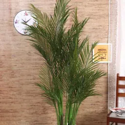fourwalls Synthetic Green Decorative 5 Branches Arica Floor Without Pot Artificial Plants-picture-17