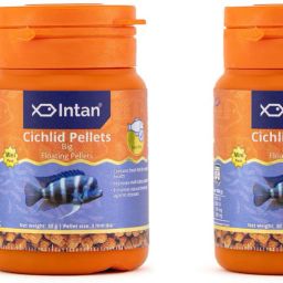 Cichlid Big Pellets Fish Food for Health & Growth, Mini Pack, 3 mm Dia 0.06 kg (2x0.03 kg) Dry Adult Fish Food-image-36