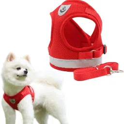 Dog Vest Harness,Adjustable Chest Body Belt for Dogs, Dog Harness Dog Harness & Leash-21