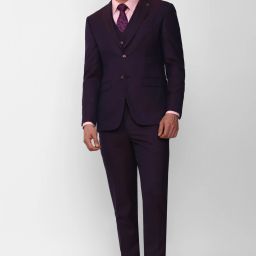Men Single Breasted - 2 button Solid Suit-image-32