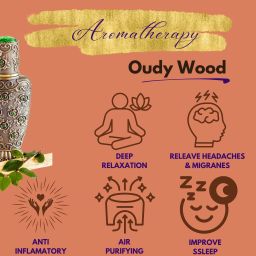 mystical glow Oudh Diffuser image 5