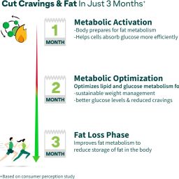 oziva ACV Moringa(Green Apple - Lemon Masala) To Control Cravings, No Maltodextrin image 5